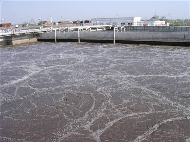 1545817579.jpg 35.jpg